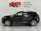 2024 Buick Envision Avenir
